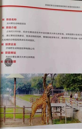 厲害了我的大濱州,15個招商引資項目集中簽約!